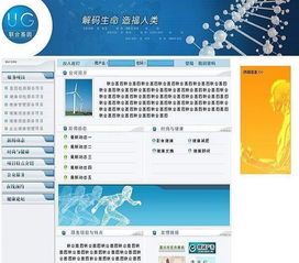 嘉興網(wǎng)站建設(shè) 六載專業(yè)積淀，以卓越服務(wù)贏得未來，彰顯超高性價(jià)比